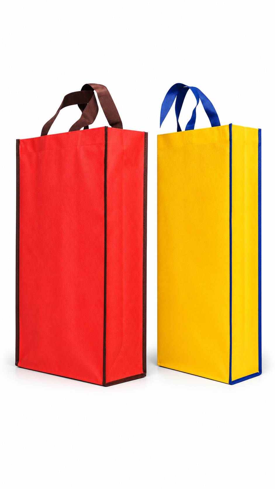 Shoes Bag